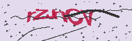 Captcha認証コード